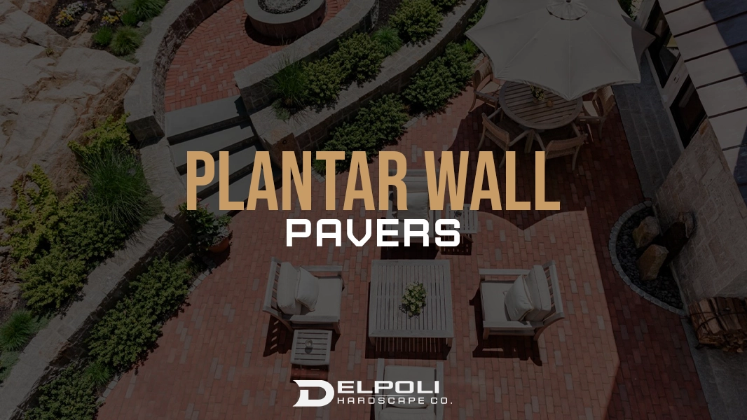Plantar Wall