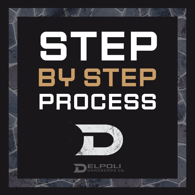 delpoli project guide step by step process